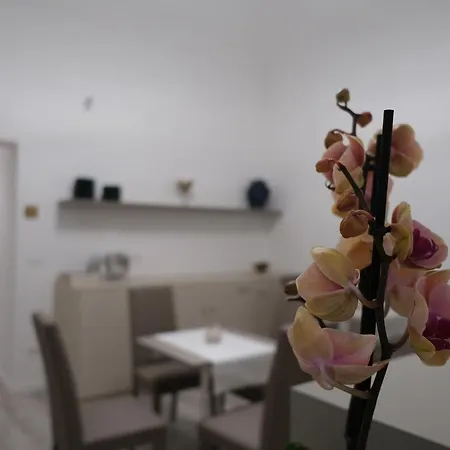 Heart Guest house
